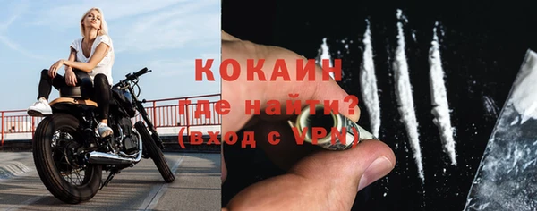 соль ск Кукмор