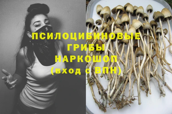 гидра Липки