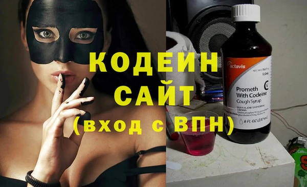 соль ск Кукмор