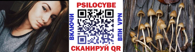 Галлюциногенные грибы мухоморы  наркота  Семёнов 